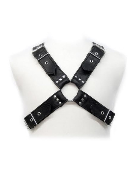 LEATHER BODY - BUCKLES HARNESS