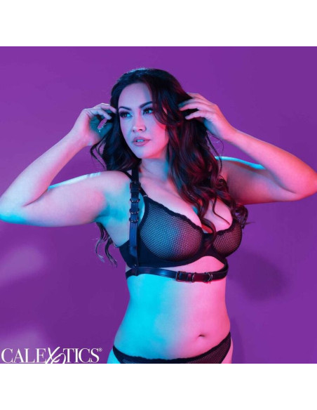 CALEXOTICS - EUPHORIA PLUS SIZE HALTER BUCKLE HARNESS BLACK