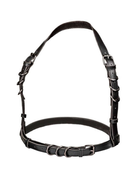 CALEXOTICS - EUPHORIA PLUS SIZE HALTER BUCKLE HARNESS BLACK