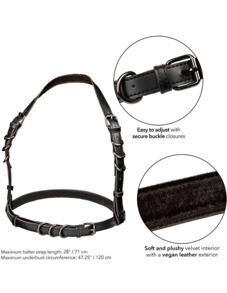 CALEXOTICS - EUPHORIA PLUS SIZE HALTER BUCKLE HARNESS BLACK