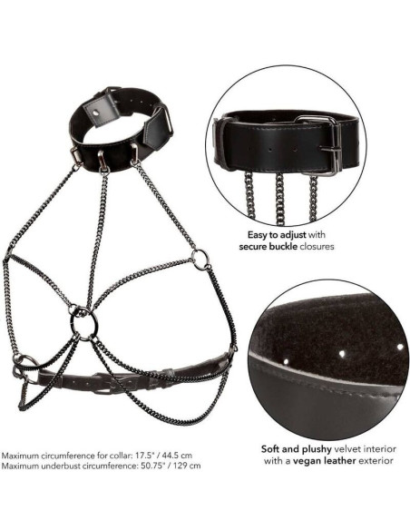 CALEXOTICS - EUPHORIA PLUS SIZE MULTI CHAIN COLLAR HARNESS