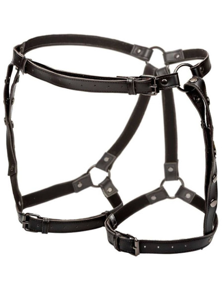 CALEXOTICS - EUPHORIA PLUS SIZE RIDING THIGH HARNESS