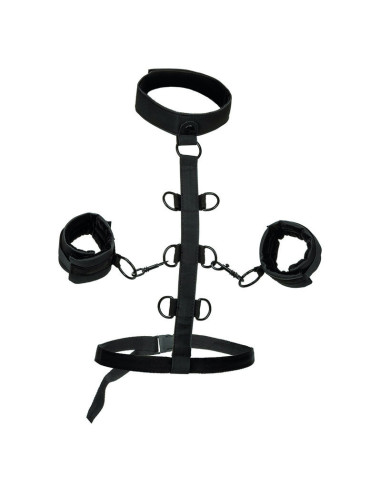 CALEXOTICS - BOUNDLESS COLLAR BODY RESTRAINT
