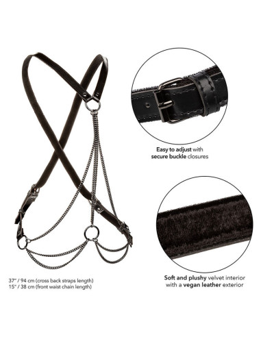 CALEXOTICS - EUPHORIA MULTICHAIN HARNESS PREMIUM