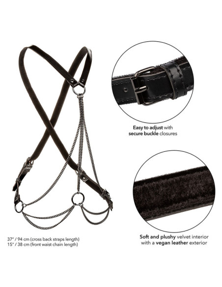 CALEXOTICS - EUPHORIA MULTICHAIN HARNESS PREMIUM