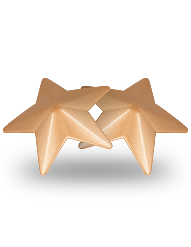 COQUETTE CHIC DESIRE - NIPPLE COVERS GOLDEN STARS