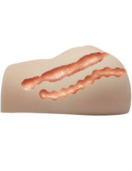 CRAZY BULL - REALISTIC VAGINA AND ANUS WITH VIBRATION POSITION 7