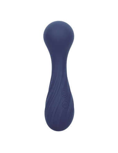 CALEXOTICS - CHARISMA TEMPTATION MASSAGER 12 FUNCTIONS PURPLE