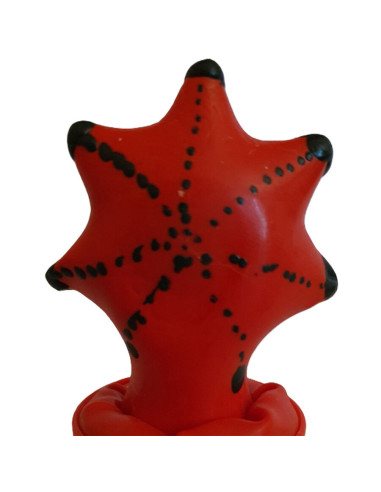 CONDOMERIE - HANDPAINTED NOVELTY CONDOMS STARFISH