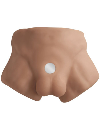 SILEXD - APOLLO S REALISTIC HALF MALE TORSO CARAMEL