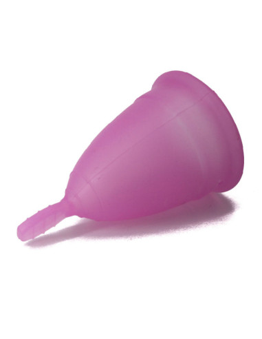 NINA KIKÍ - MENSTRUACINĖ TAURELĖ VIOLETINĖ S DYDŽIO 6 1 NEMOKAMAI