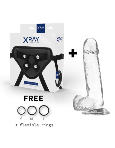 X RAY - HARNESS CLEAR COCK WITH BALLS 20 CM -O- 4.5 CM