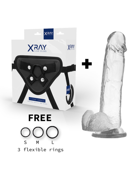 X RAY - HARNESS COCK WITH BALLS 22 CM -O- 4.6 CM