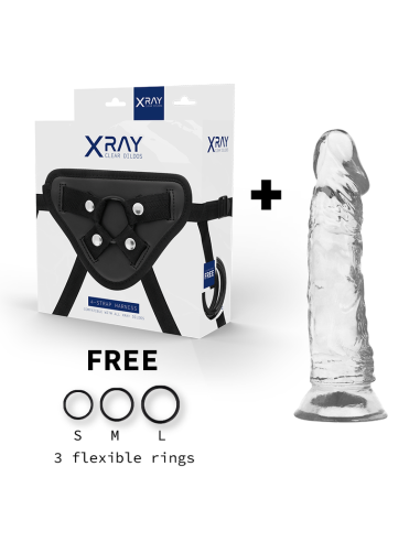 X RAY - HARNESS CLEAR COCK 19 CM -O- 4 CM