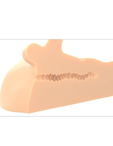 PDX PLUS - TOBULAS PAVADINIMAS PENIS IR IŠANGINĖS ŽARNOS MASTURBATORIUS