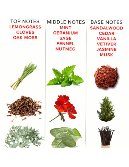 EYE OF LOVE - EOL FEROMONŲ KVAPAS 10 ML - ROMANTINIS