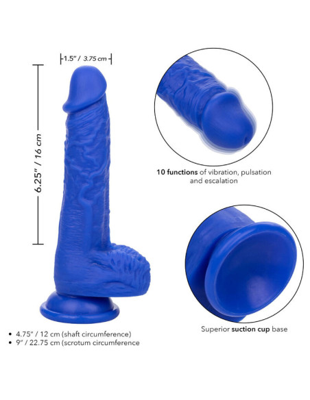 CALEXOTICS - ADMIRAL SAILOR REALISTINIS DILDO VIBRATORIUS MĖLYNAS