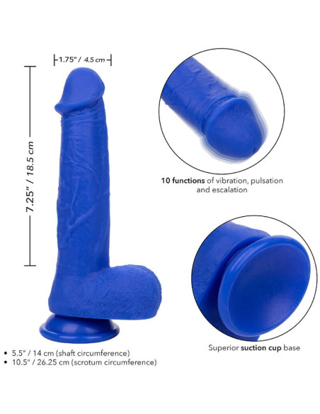CALEXOTICS - ADMIRAL CAPTAIN REALISTINIS DILDO VIBRATORIUS MĖLYNAS