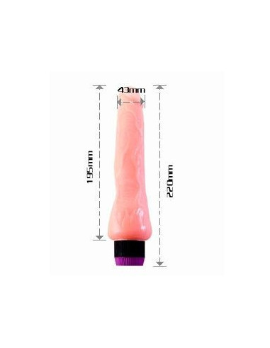 BAILE - REALISTIC VIBRATOR 19.5 CM