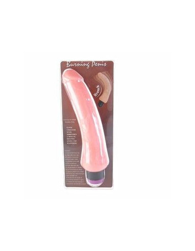 BAILE - REALISTIC VIBRATOR 19.5 CM