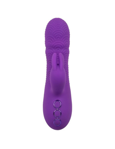 CALEXOTICS - MANHATTAN BEACH MARVEL VIBRATOR RABBIT PURPLE BY CALIFORNIA DREAMING