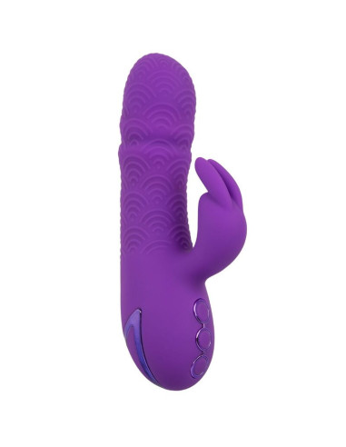 CALEXOTICS - MANHATTAN BEACH MARVEL VIBRATOR RABBIT PURPLE BY CALIFORNIA DREAMING