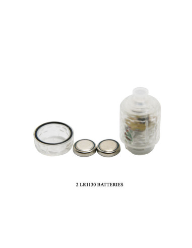 BAILE - FANTASTINĖS VIBOS PRATĘSIMAS