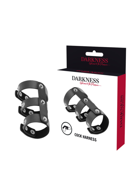 DARKNESS - ADJUSTABLE LEATHER DOUBLE PENIS AND TESTICLE RING