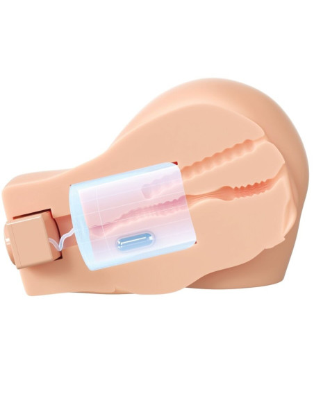 PDX ELITE - BACK THAT ASS UP REALISTIC VIBRATING VAGINA AND ANUS MASTURBATOR