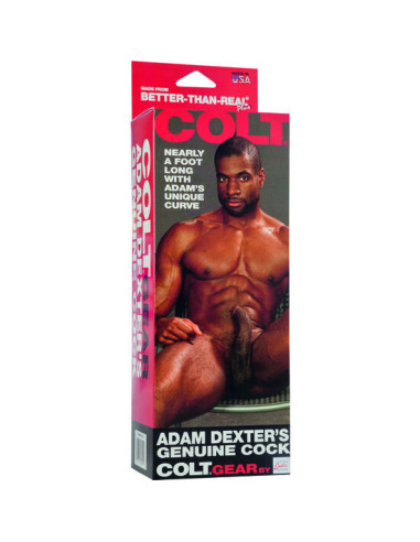 CALEXOTICS - COLT ADAM DEXTERS COCK