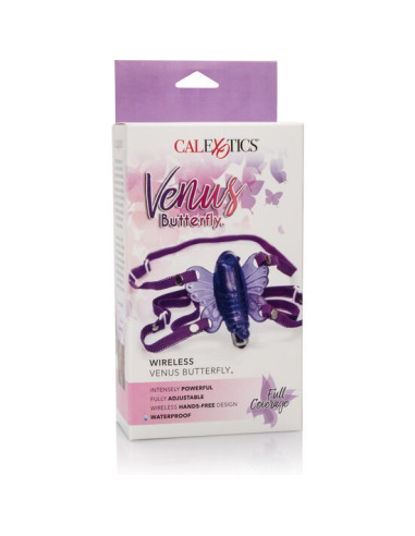 CALEXOTICS - BELAIDIS VENUS BUTTERFLY