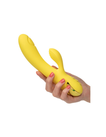 CALEXOTICS - SAN DIEGO SEDUCTION