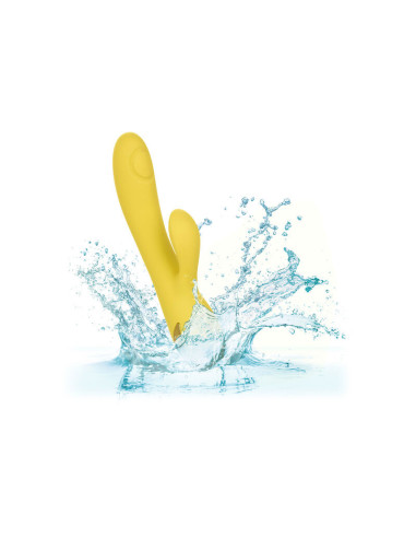 CALEXOTICS - SAN DIEGO SEDUCTION