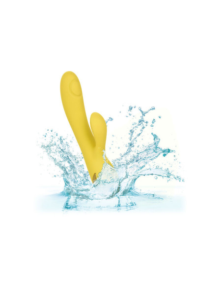 CALEXOTICS - SAN DIEGO SEDUCTION