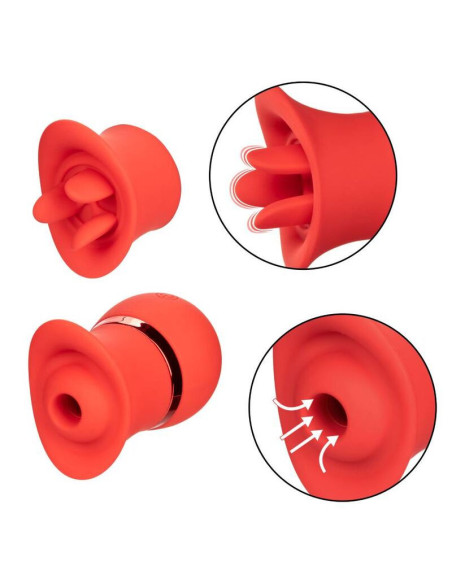 CALEXOTICS - PRANCŪZIŠKO BUČINIO ŽAIDIMŲ RINKINYS