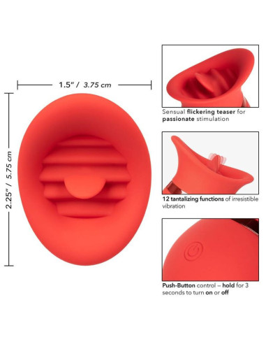 CALEXOTICS - PRANCŪZIŠKAS BUČINYS SALDUS KALBĖTOJAS