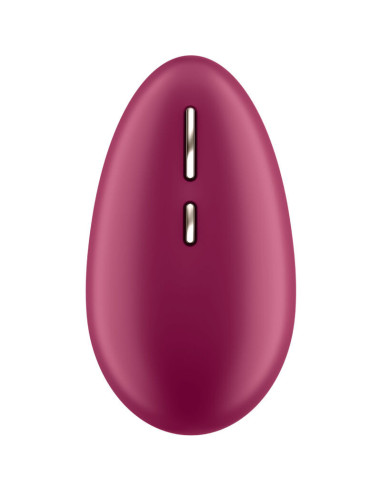 SATISFYER – VIENA UOGŲ TAŠKAS