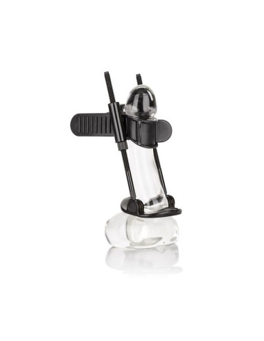 CALEXOTICS - VARPOS DIEGIKLIS