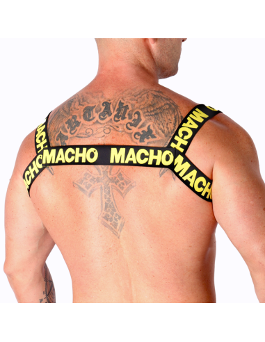 MACHO - DOUBLE YELLOW HARNESS