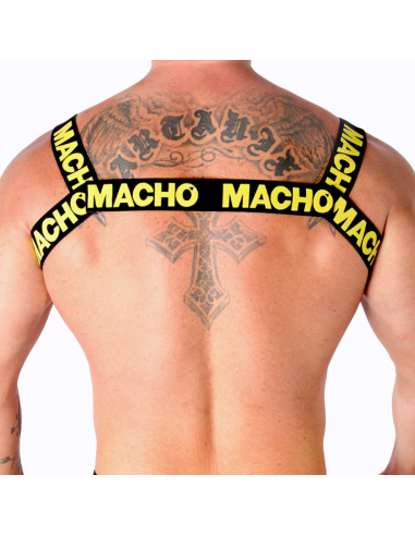 MACHO - DOUBLE YELLOW HARNESS