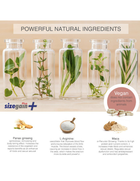 500 KOSMETIKOS PRIEMONIŲ – SIZEGAIN PLUS TABLETĖS VARPOS DIDINIMUI