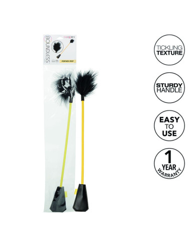 CALEXOTICS – BERIBIAI PLUNKSNŲ DERLIUS