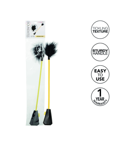 CALEXOTICS – BERIBIAI PLUNKSNŲ DERLIUS