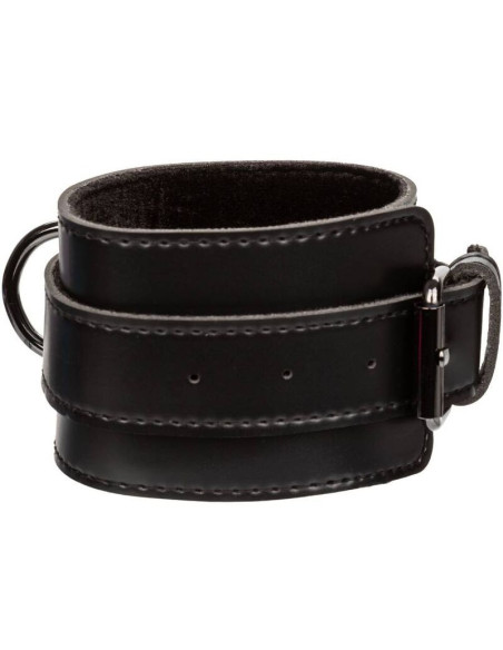 CALEXOTICS - EUPHORIA KIAULĖS KAKLAIŠTIS