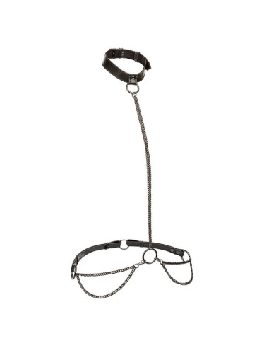 CALEXOTICS - EUPHORIA CHAIN HALTER COLLAR and LEASH