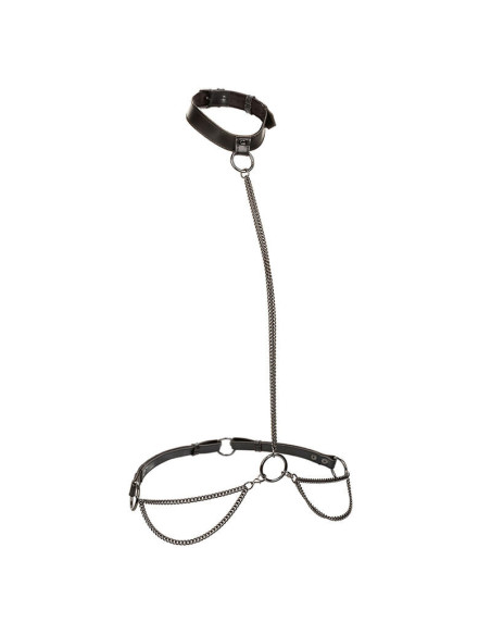 CALEXOTICS - EUPHORIA grandininis antkaklis ir pavadėlis