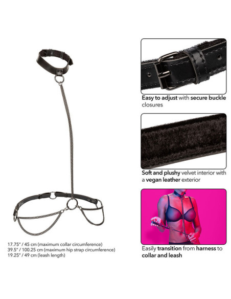 CALEXOTICS - EUPHORIA CHAIN HALTER COLLAR and LEASH