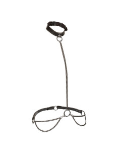 CALEXOTICS - EUPHORIA CHAIN HALTER COLLAR and LEASH PLUS SIZE