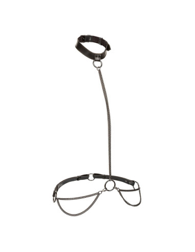 CALEXOTICS - EUPHORIA CHAIN HALTER COLLAR and LEASH PLUS SIZE