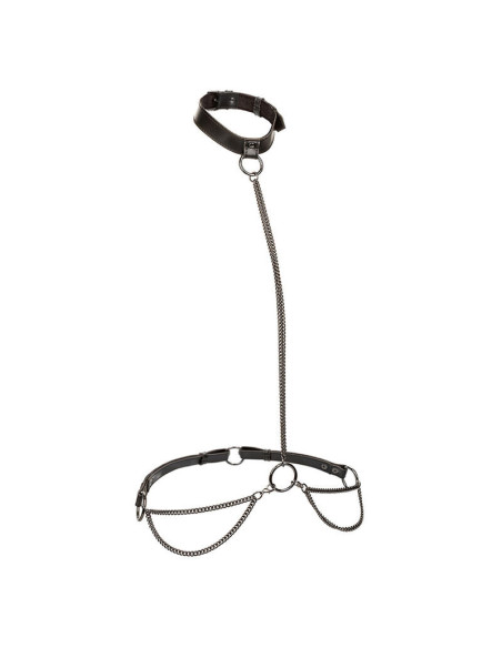 CALEXOTICS - EUPHORIA CHAIN HALTER COLLAR and LEASH PLUS SIZE